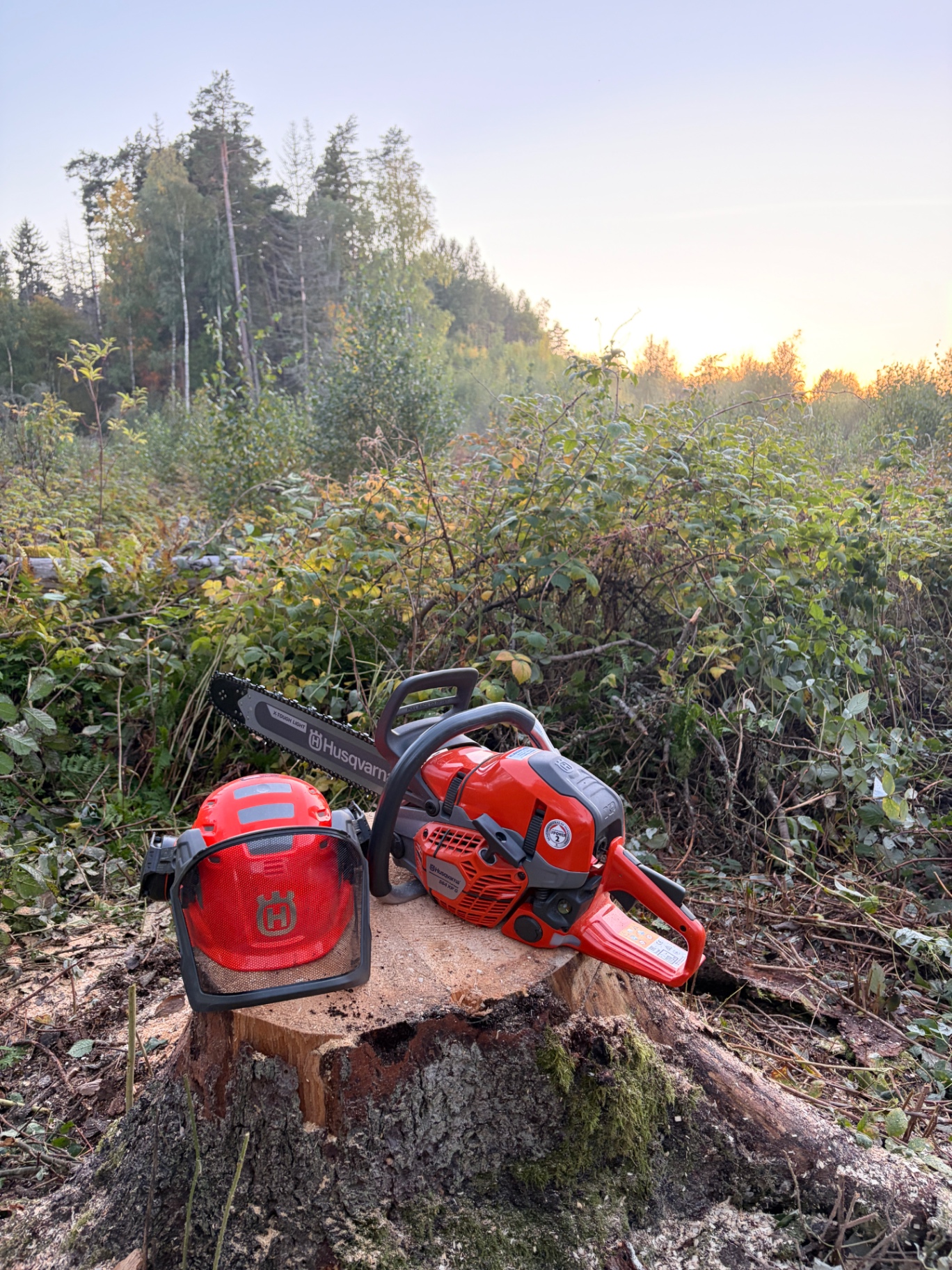 Husqvarna-motorsåg och hjälm på en nyfälld stubbe i solnedgång
